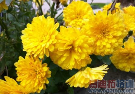 ʷ������ϸ�����������ͷ�ȸ�Ħ�����ִ��찲׿���� Nexus 6���£�