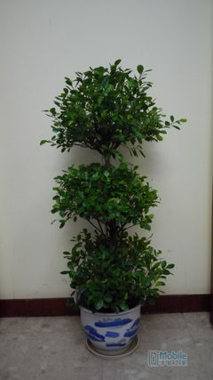 ��ΪMate7�Ա�����MX4 Pro����ǿ�����మ��ɱ 6PlusԼսMX5