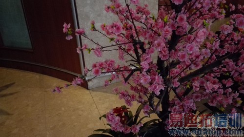 ��ΪMate7�Ա�����MX4 Pro����ǿ�����మ��ɱ 6PlusԼսMX5