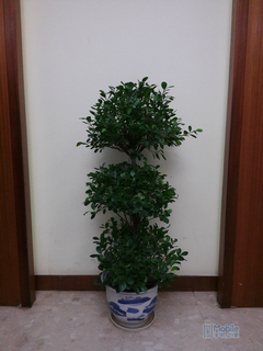 ��ΪMate7�Ա�����MX4 Pro����ǿ�����మ��ɱ 6PlusԼսMX5