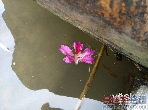 ���ջ���һ������ĸ��� nubia Z7��������