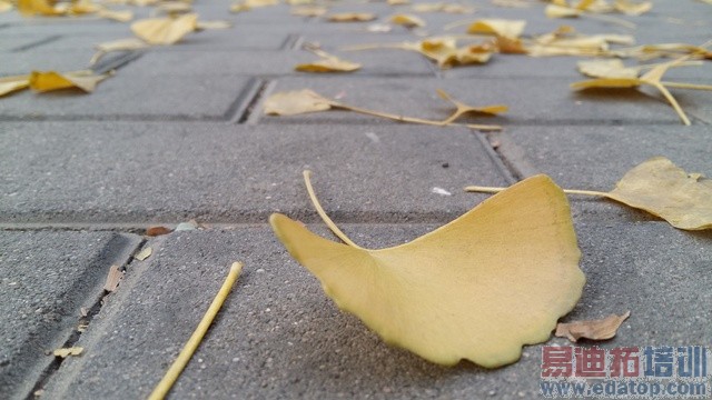 ��������+˫������! ����GALAXY A5���� 