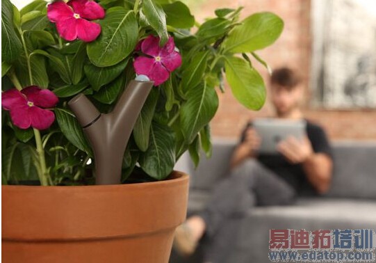 ��ý��2014���������Ƽ������