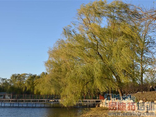 千元机也任性 解析中兴V5 Max为何任性