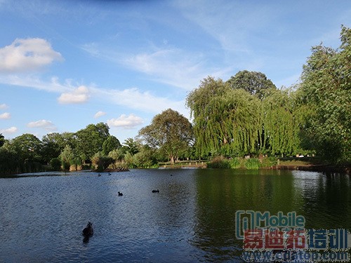 千元机也任性 解析中兴V5 Max为何任性