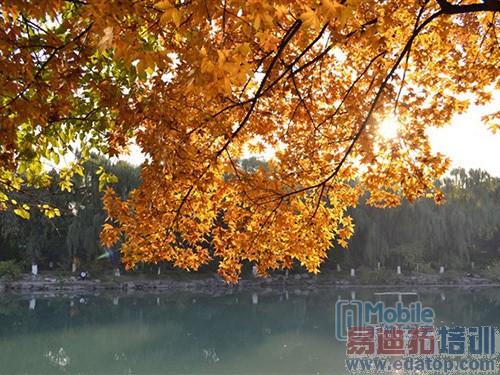 千元机也任性 解析中兴V5 Max为何任性