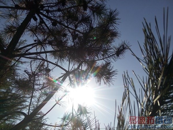 ����MX4 Proȫ��Ա�MX4����͹����� �޹ػ�ΪС��