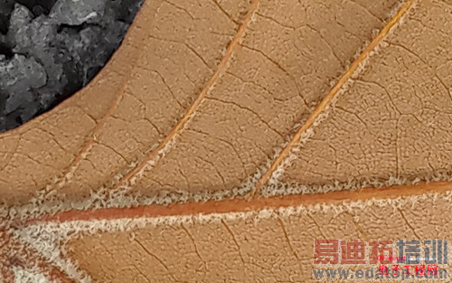 ����MX4Pro���ֵ��Լ��