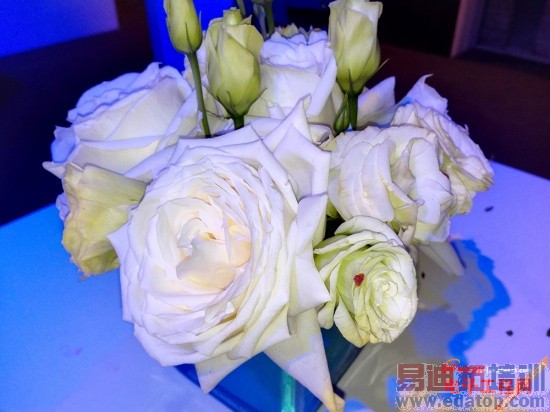 ��Ϊ��ҫ6 Plus����������⣺��������MX4 Pro/iPhone6 ��ʵ���������ԣ�