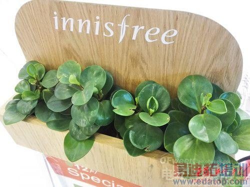 �Լ۱���Σ���Ϊ��ҫ6Plus�������⣺�ܷ�ԽС��5/����MX5��