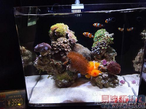 �Լ۱���Σ���Ϊ��ҫ6Plus�������⣺�ܷ�ԽС��5/����MX5��