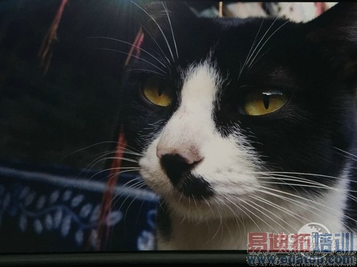 �������չ������һ�� ������Ʒ������ͼ��ֱ��