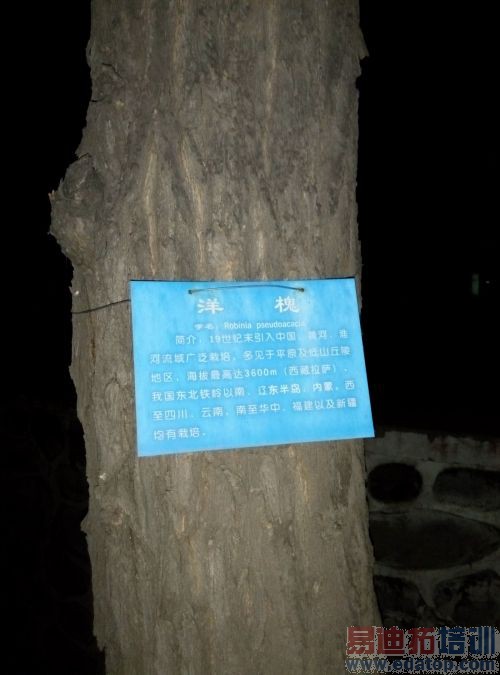 ����Note�ԱȺ���Note/MX4�ײ⣺�콢���� ���۵�����������ͼ��