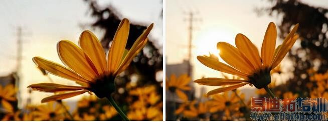 【最强评测】无知无畏的魅族MX4 Pro:只卖半个苹果价 也敢叫2014年度旗舰机?