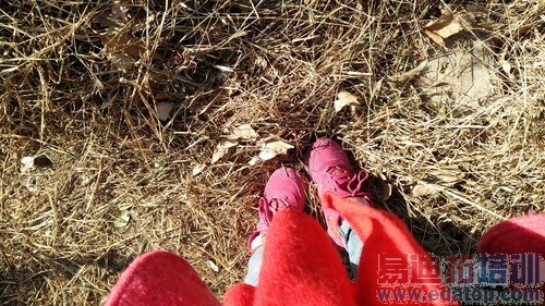 ��ΪMate7�Աȿ��ɲ���