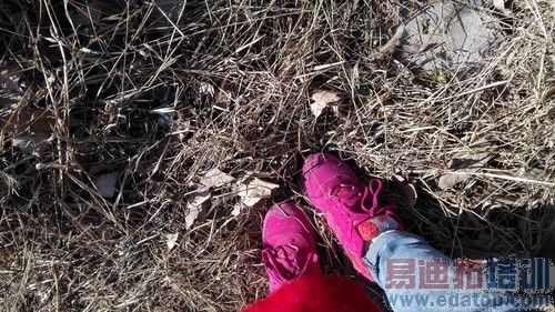 ��ΪMate7�Աȿ��ɲ���