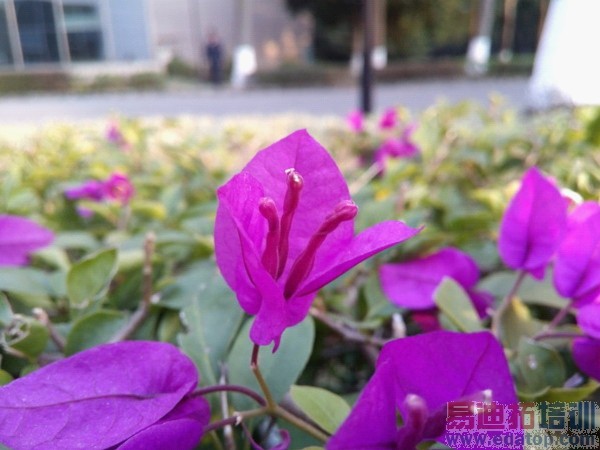 ��ȫ��������ҫ6 Plus��vivoX5 Max��TCLôô��3N������ͼ��