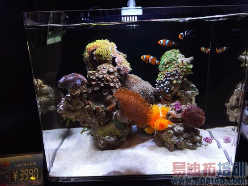 ��Ϊ��ҫ6 Plus��������+��⣺��Ӧ���Χ������MX4 Pro