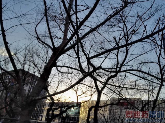 ��������걬����MX4 Pro��