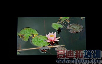 ��������ʷ��ǿ������ҫ6Plus ȫ��λ���� �걬����4Pro ����ƻ��6 Plus