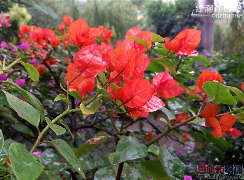 ����ִ�� &mdash;&mdash; ����note��ϸ����