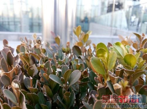 ����Note VS���ɴ���f2�Ա����⣺�Ͷ˷��� ��ָ����Note