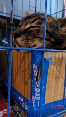 ����Note VS���ɴ���f2�Ա����⣺�Ͷ˷��� ��ָ����Note