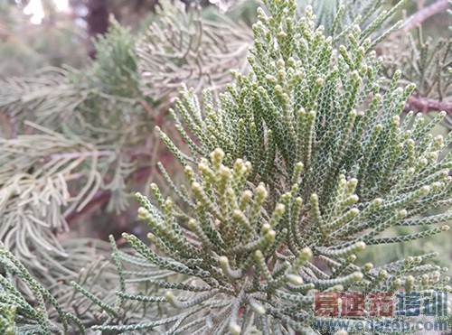 ����Note�ԱȺ���Note��100Ԫ����� С��5�ڴ���ϮMX5