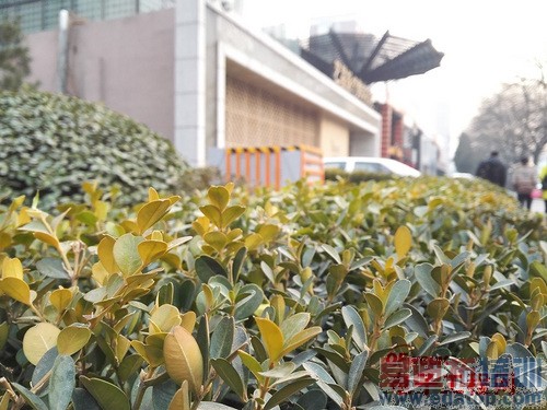 ��ҫ6 Plus������MX4 Pro����ĩ�ռ��Ծ� M8/MX5���ƴ���