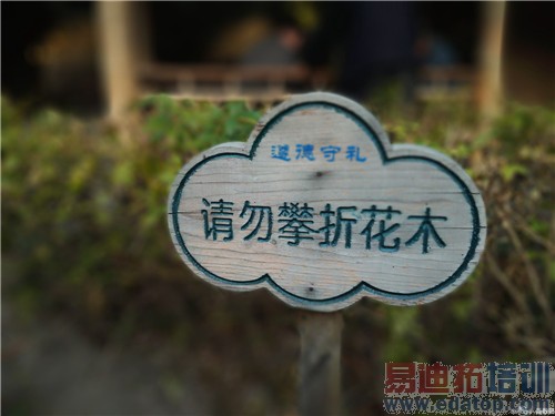 ����˫����Ϊ��ҫ6 Plus������飺��˼