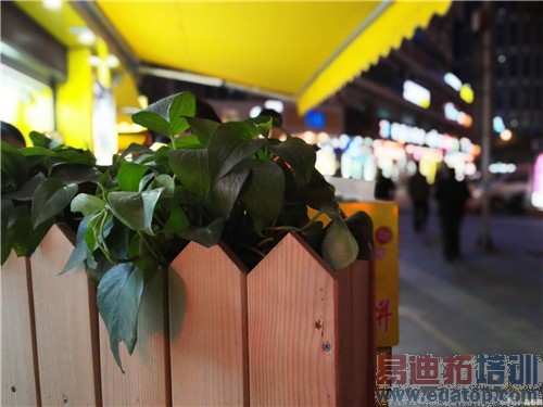 ����˫����Ϊ��ҫ6 Plus������飺��˼