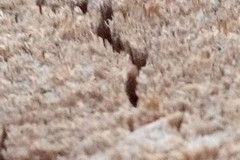 魅族魅蓝Note评测+拆解:与联发科的狂欢 红米Note遇天敌