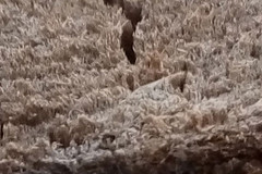 魅族魅蓝Note评测+拆解:与联发科的狂欢 红米Note遇天敌