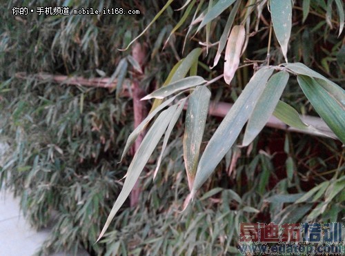 魅族魅蓝Note评测+拆解:与联发科的狂欢 红米Note遇天敌