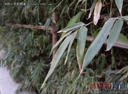 魅族魅蓝Note评测+拆解:与联发科的狂欢 红米Note遇天敌