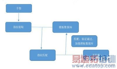 �˽⻪Ϊ�����ָ��ʶ����ȫ��λ��������ֻ�ָ��ʶ��������ͼ��