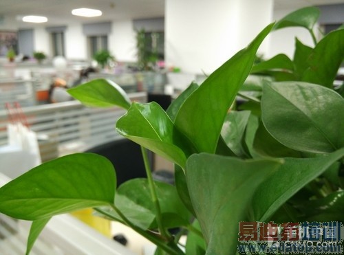 �����콢С��Note������Ⱥ�����Ư��������810�����������ͼ��