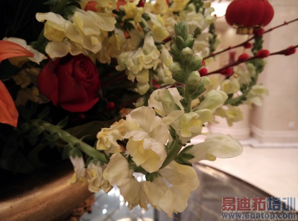 С��Note�Աȿ��ɴ���x7����ͨ�Ծ������� �׾�����Ϯ֮����