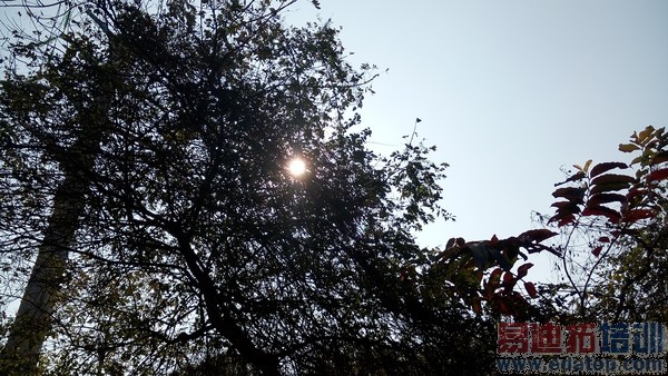 С��Note�Աȿ��ɴ���x7����ͨ�Ծ������� �׾�����Ϯ֮����