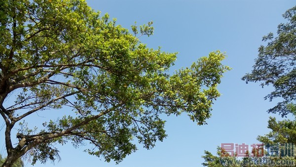 С��Note�Աȿ��ɴ���x7����ͨ�Ծ������� �׾�����Ϯ֮����