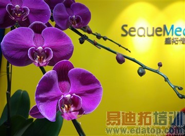 2299��Ȼֵ�ù��� С��Noteȫ������