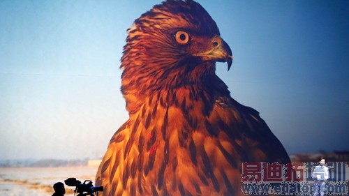 С����Ʒ������ֱ����С��5��С��Note�ܷ����������������У�