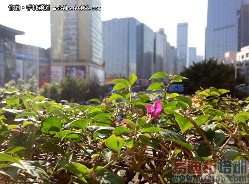 800元的主要区别 MX4魅族Note拍照对比