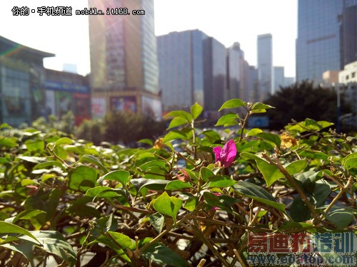 800元的主要区别 MX4魅族Note拍照对比