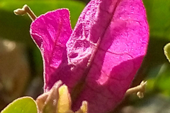 800元的主要区别 MX4魅族Note拍照对比