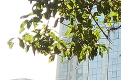 800Ԫ����Ҫ���� MX4����Note���նԱ�