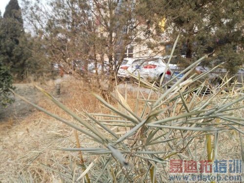 �۷�Ծ�����ΪP7vs����X7����˼�������������MT6595������ͼ��