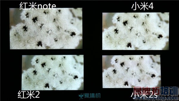 ����2ȫ�������С�׼���С��2s������noteС��4����Ա�