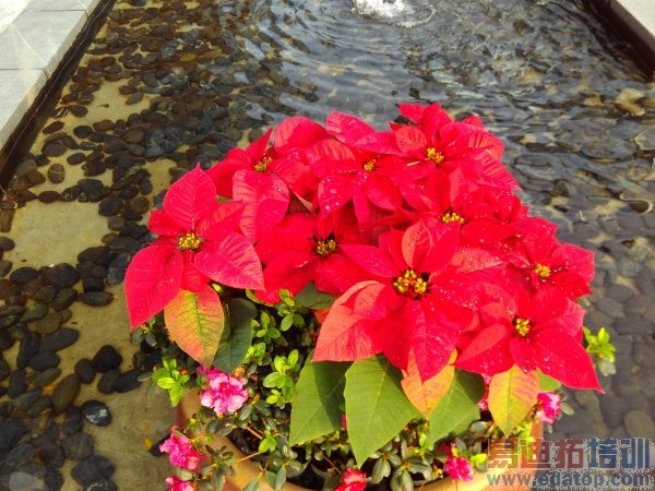 ����2ȫ�������С�׼���С��2s������noteС��4����Ա�