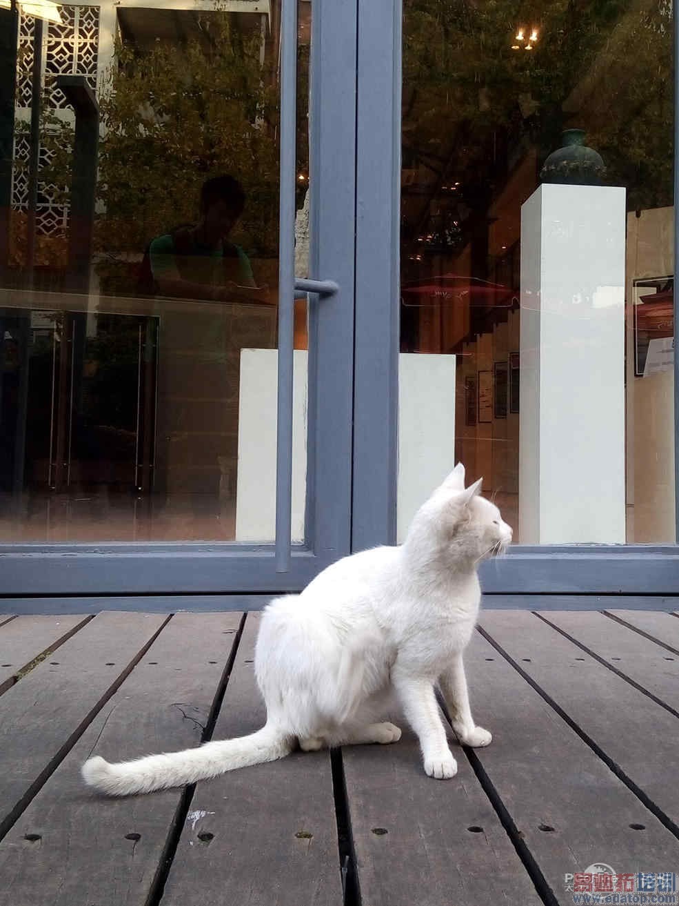 TCLôô��3Nȫ�����⣺899Ԫ�Լ۱�֮�� �����ѿ���